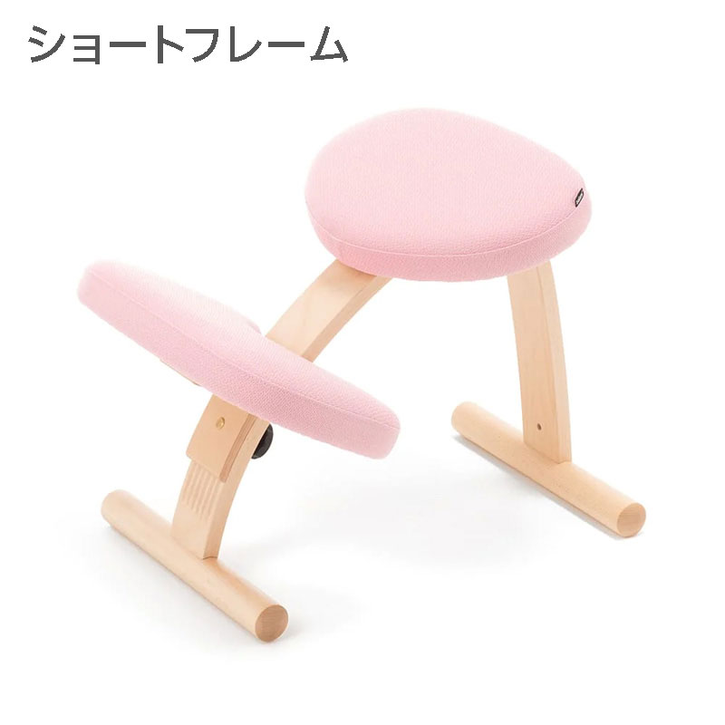 バランスラボのレンタル一覧 | 海外ベビーカーレンタルの借りタス